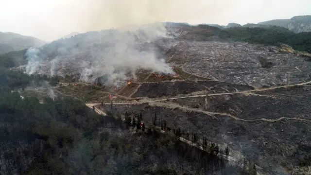 Hatay'da dün gece çıkan orman yangınıyla ilgili iki kişi tutuklandı
