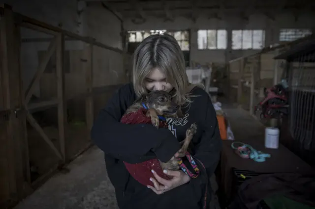 lviv shelter