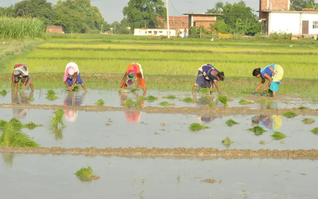 प्रतीकात्मक तस्वीर
