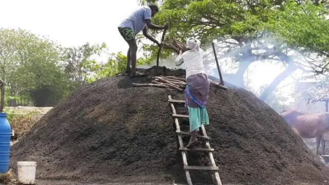 கருவேல