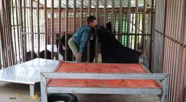တောင်ငူ