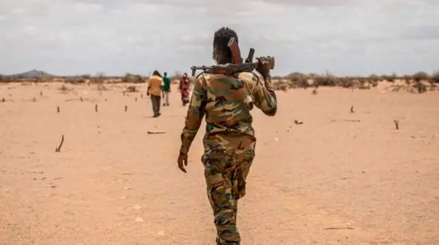 Hay'adaha gargaarka waxay sheegeen in dhibaatadan ay ka dhasheen colaadaha iyo isbaddalada cimilada kuwaasoo saameeyay gobolka