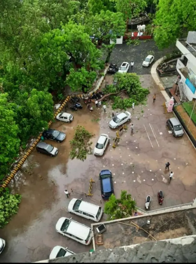 ఆంధ్రప్రదేశ్-తెలంగాణ భవన్లో విరిగిపడ్డ చెట్లు
