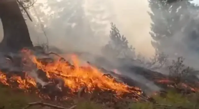 طالبان، نورستان،