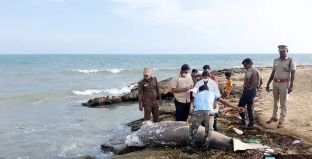 மன்னார்