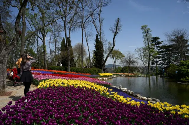 Emirgan Korusu