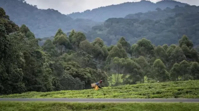 Rwanda