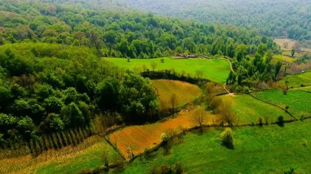 جنگل‌های نکا در استان مازندران