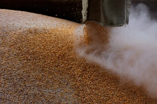 Grain is loaded on a truck at the Mlybor flour mill facility, in Chernihiv region