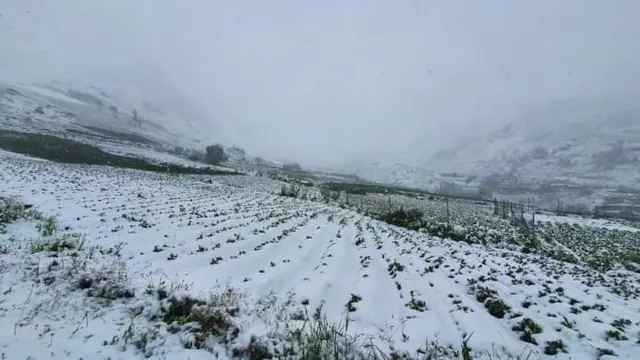 بامیان
