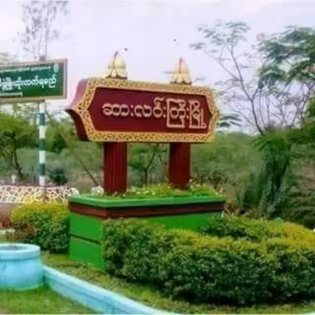 ဆားလင်းကြီး၊ စစ်ကြောင်းထိုး