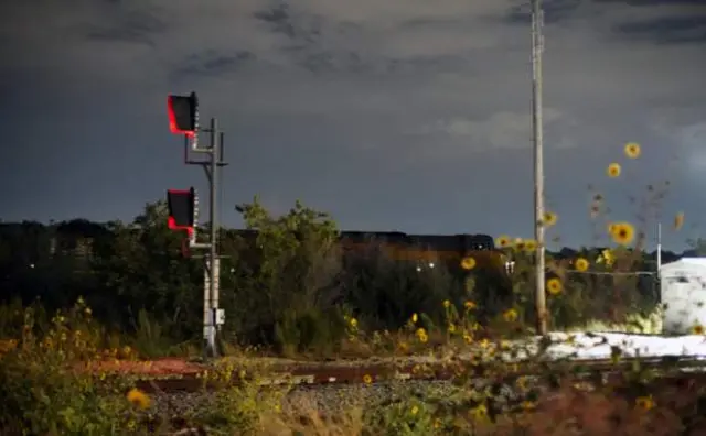 శాన్ ఆంటోనియో రైల్వే ట్రాక్స్ పక్కన మృత దేహాలతో ఉన్న ట్రక్కు కనిపించింది.