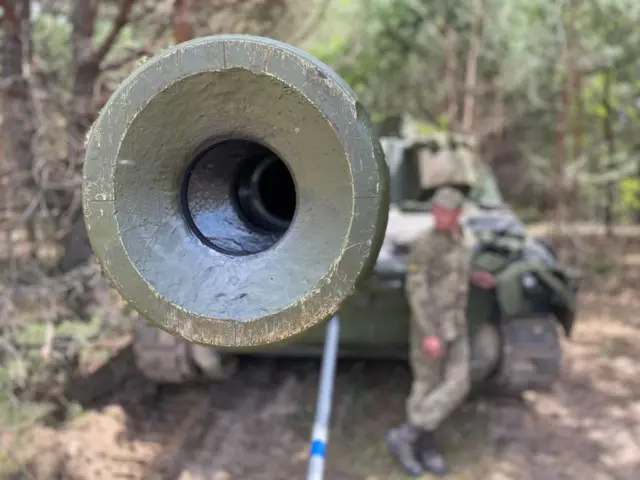 сау