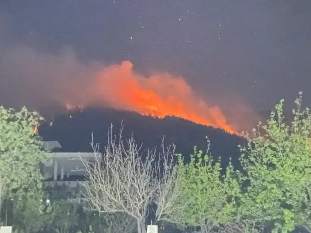 حريق الغابات في لبنان: حريق في إحدى أكبر غابات الصنوبر البري في الشرق الأوسط