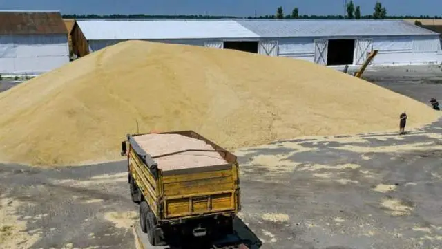 Mavuno huko Zaporizhzhia: Ukraine ni muuzaji mkuu wa nafaka barani Afrika na Mashariki ya Kati