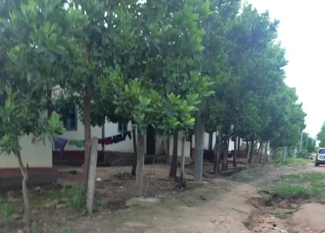 Walay region, Karin State, June 30