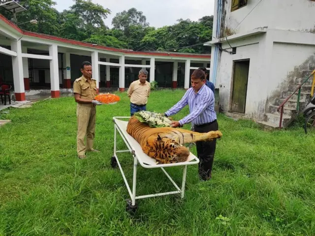 ராஜா புலி
