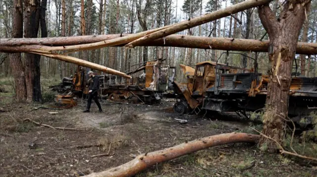 Лес в Украине после боевых действий
