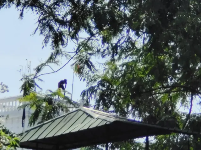 శ్రీలంక ప్రధానమంత్రి కార్యాలయం మీద నిరసనకారులు