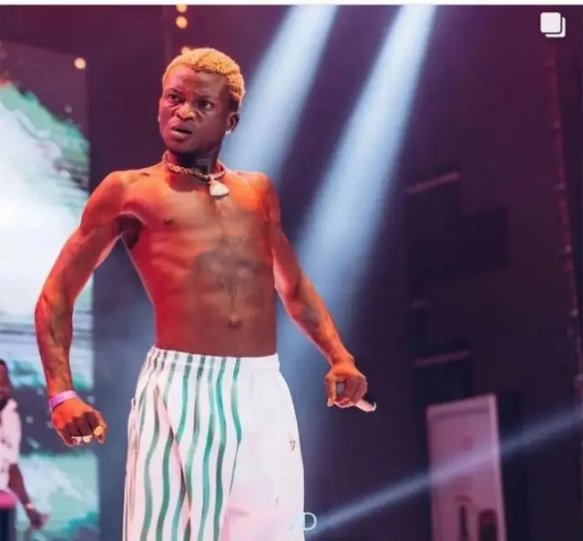 IGP order investigation into musician Portable statement