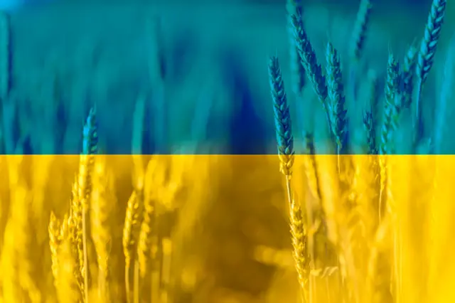 зерно і прапор