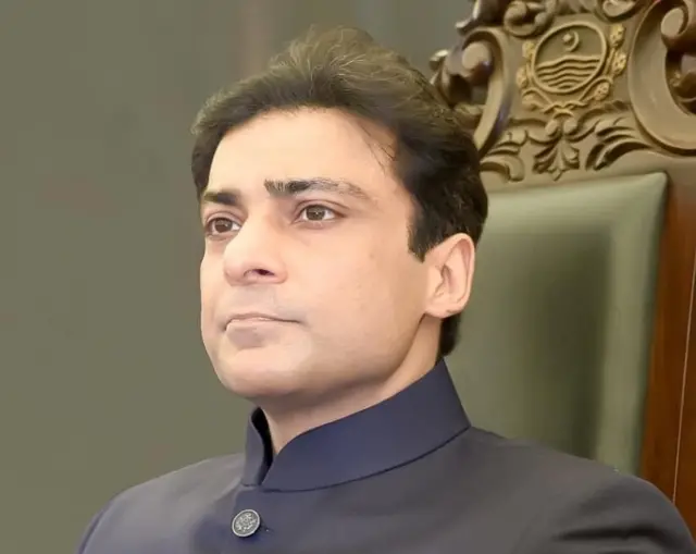 pmln