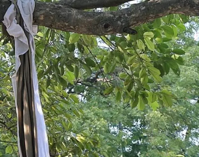 ఖాండ్వాలో చెట్టుకు వేలాడుతూ ముగ్గురు అక్కాచెల్లెళ్ల మృతదేహాలు కనిపించాయి