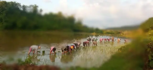 ယောဒေသကာကွယ်ရေးတပ်(ထီးလင်း)