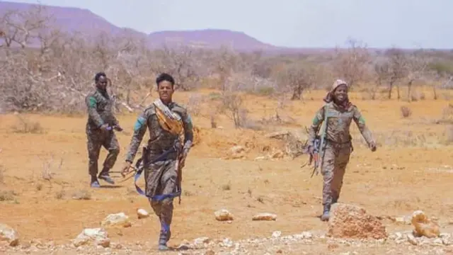 Ciidamada Dowlad Deegaanka ee dagaalka kula jira Al Shabaab