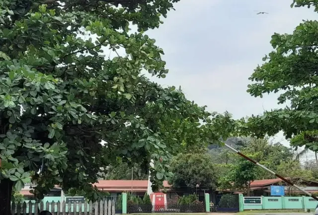 အပြန်အလှန်ပစ်ခတ်မှုတွေရှိခဲ့