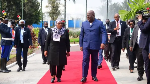 Samia Suluhu Hassan na Felix Tshisekedi