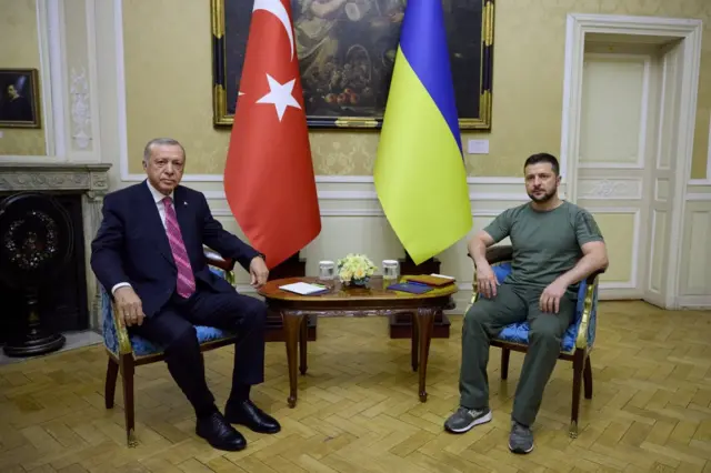 Зеленський та Ердоган