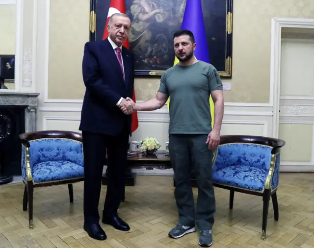 Зеленський і Ердоган
