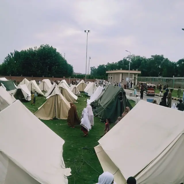 pdma
