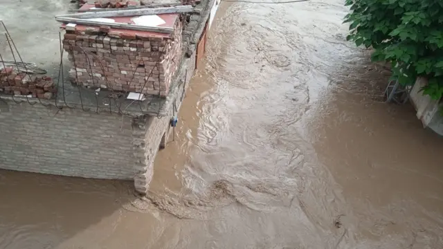 sajidullah