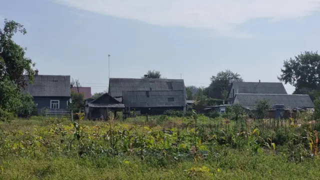 Сарни