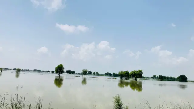 Dadu, Sindh
