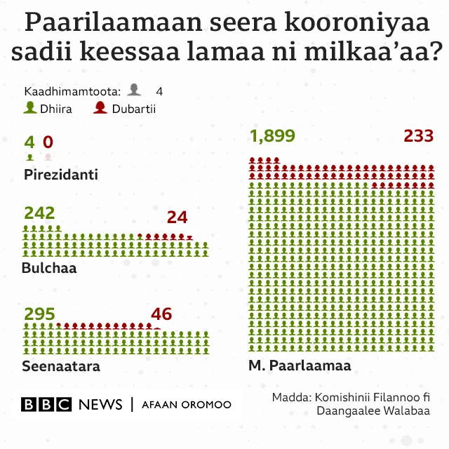 Dhima kooroniyaa filannoo Keeniyaa keessatti