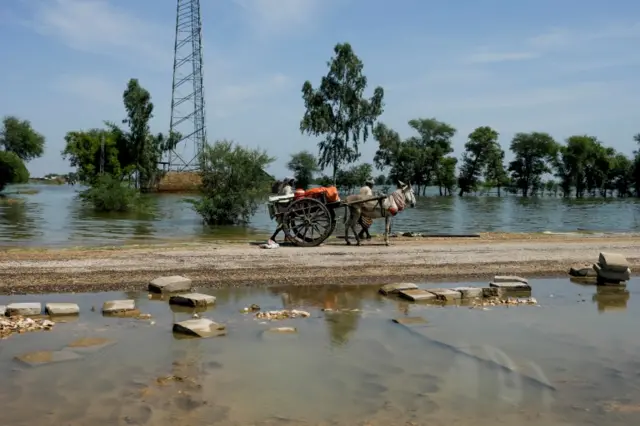 ڈیک اپیل