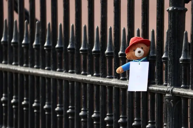 Paddington ayısı
