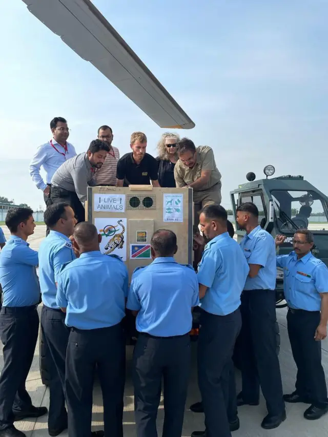 గ్వాలియర్ చేరుకున్న చిరుతలు