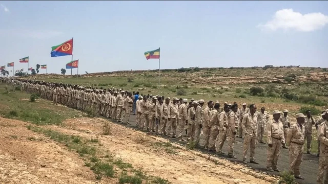 Fallaagada TPLF oo Eritrea ku eedaysay inay ku soo duushay