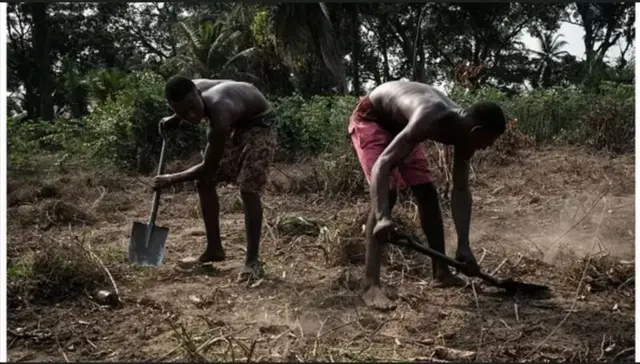 Ndị ọrụ ugbo