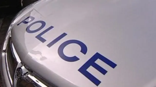 Police car generic