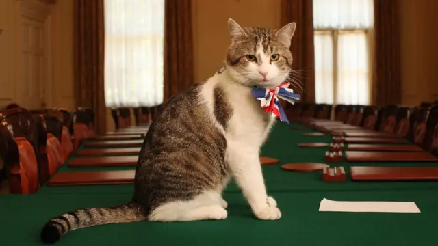 Larry bisad 15 sano ku nool Downing Street