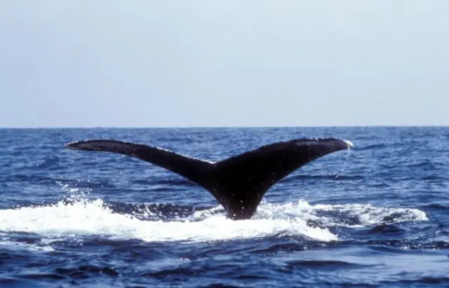 ????? ??????.. ?????? ?????? ???? ?? ?? ??? ??? ?? ??? 2022