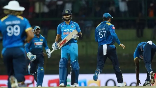 क्रिकेट