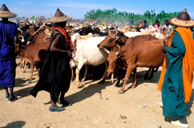 Ndị  ọchịehi