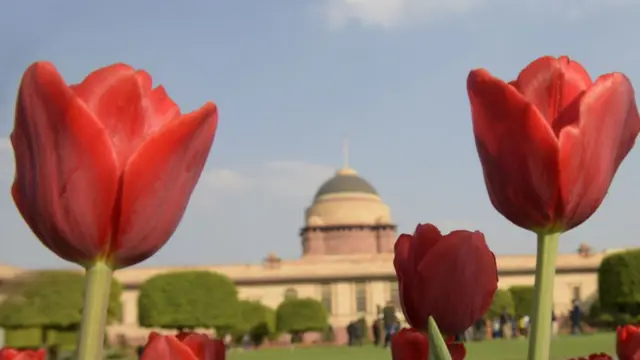 दिल्ली का मुग़ल गार्डन