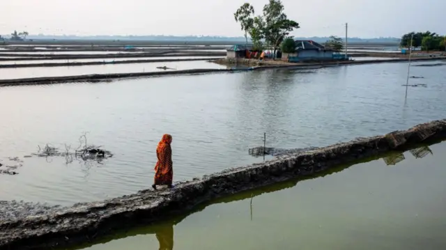 પ્રતીકાત્મક તસવીર